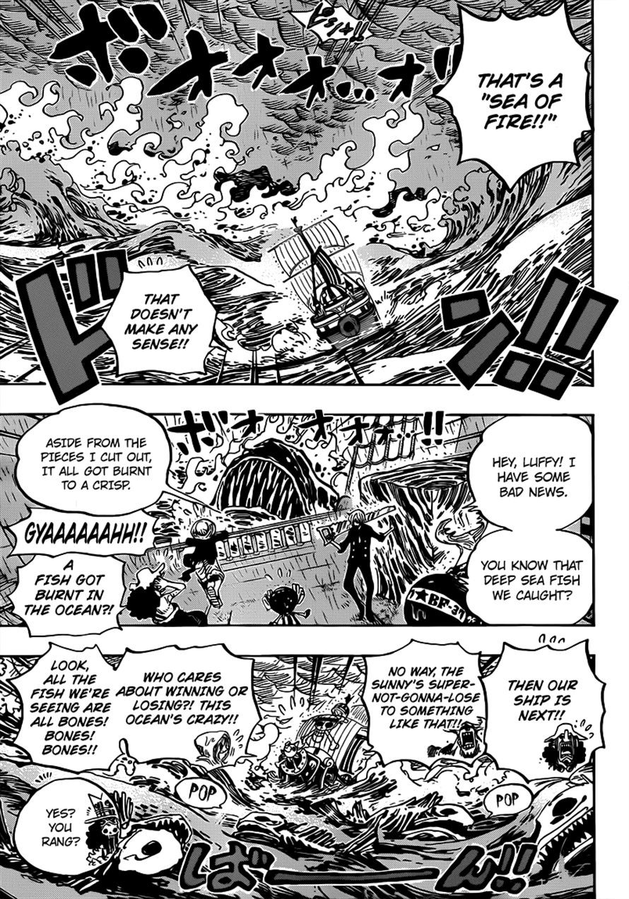 One Piece Chapter 655 3